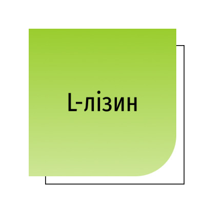 L-лізин