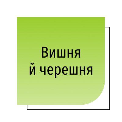 Вишня й черешня