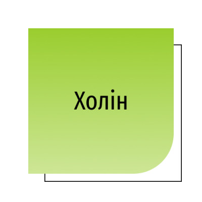 Холін