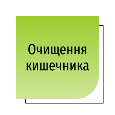 Очищення кишечника