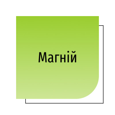 Магній