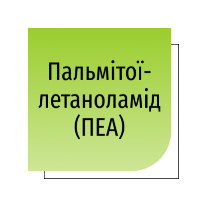 Пальмітоїлетаноламід (ПЕА)