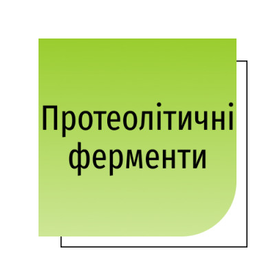 Протеолітичні ферменти