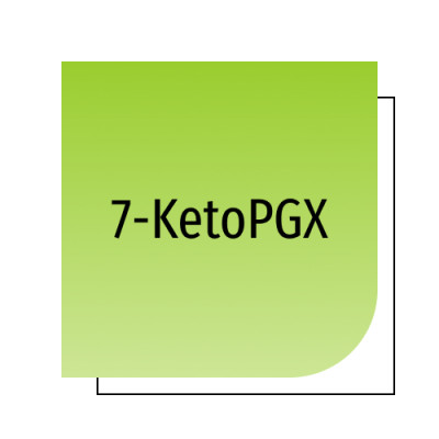 7-KetoPGX