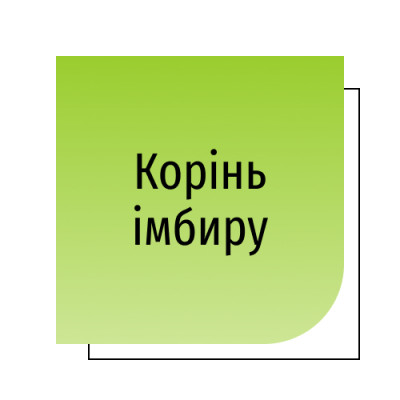 Корінь імбиру