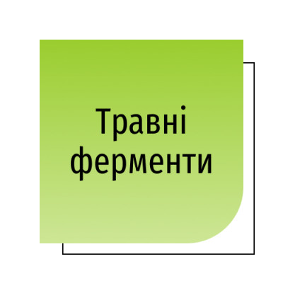 Травні ферменти
