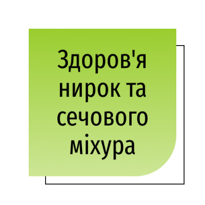 Здоров'я нирок та сечового міхура
