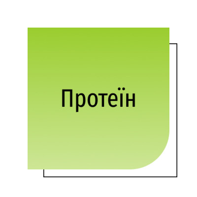 Протеїн