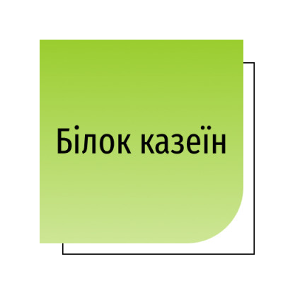Білок казеїн