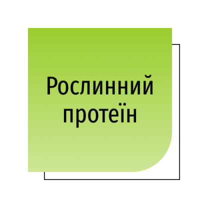 Рослинний протеїн