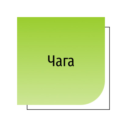Чага