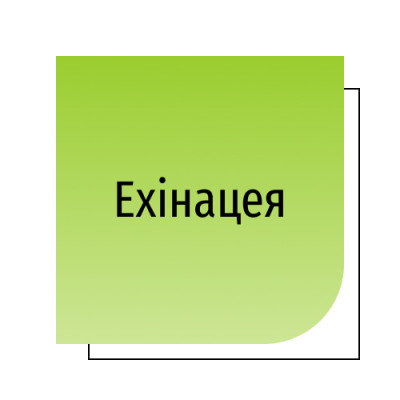 Ехінацея