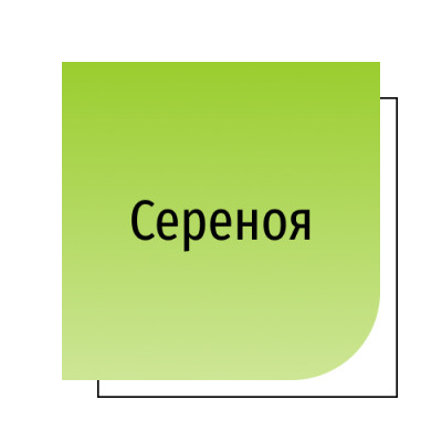 Со пальметто