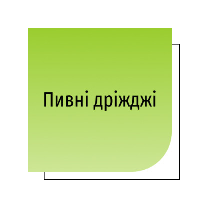 Пивні дріжджі