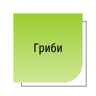 Гриби