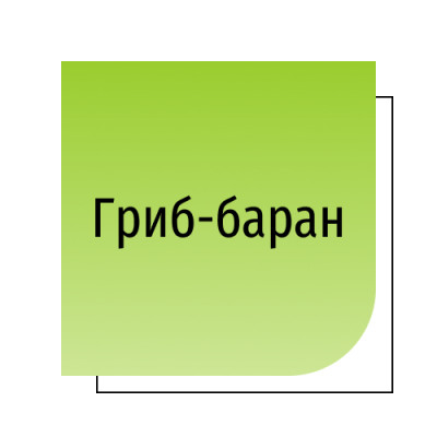 Гриб-баран (майтаке)