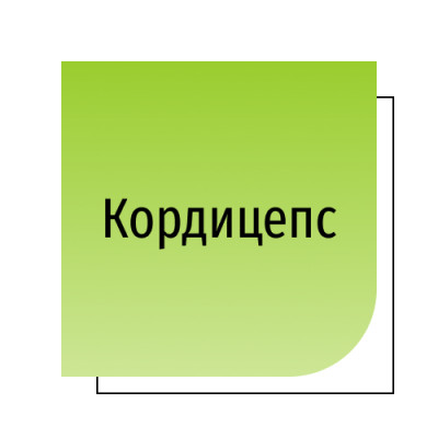 Кордицепс