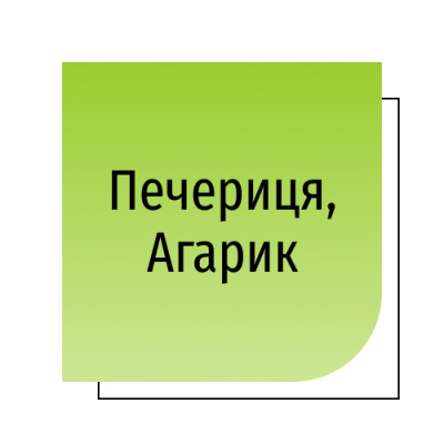 Печериця, Агарик