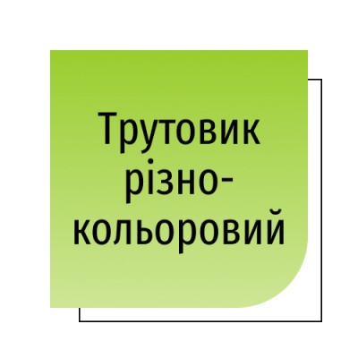 Трутовик різнокольоровий