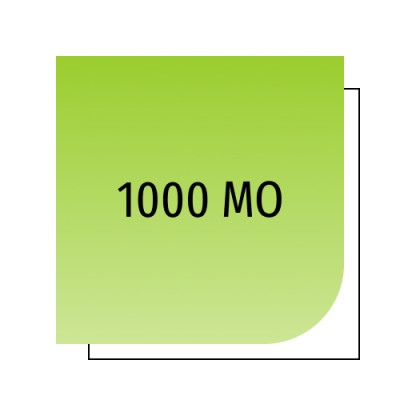 1000 МО