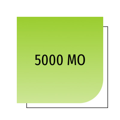 5000 МО