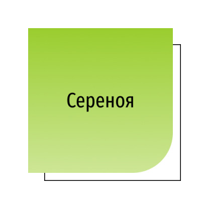 Со Пальметто