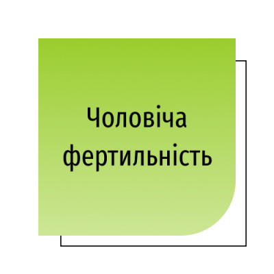 Чоловіча фертильність