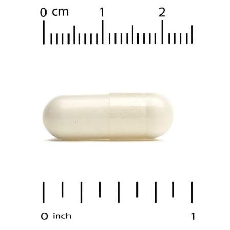 Молозиво з 20% імуноглобулінів IgG, Colostrum, California Gold Nutrition, 240 рослинних капсул