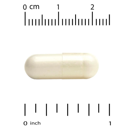Пробиотики, LactoBif 100 Probiotics, California Gold Nutrition, 100 млрд КОЕ, 30 растительных капсул
