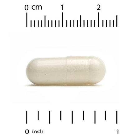 Пробіотики для котів і собак, LactoBif Pet, 5 млрд КУО, California Gold Nutrition, 60 рослинних капсул