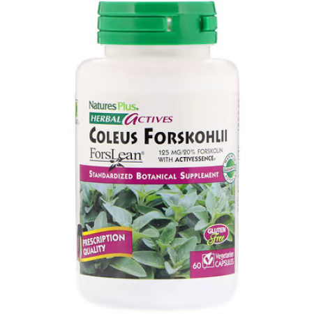 Форсколін, Coleus Forskohlii, Nature's Plus, Herbal Actives, 125 мг, 60 капсул