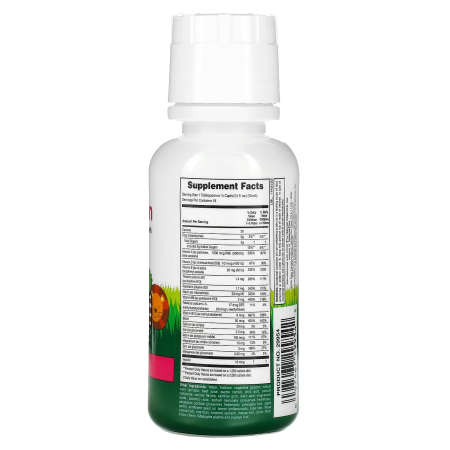 Вітаміни для дітей, Children's Multi-Vitamin, Nature's Plus, Animal Parade, рідкі, смак натуральних тропічних ягід, 236,56 мл