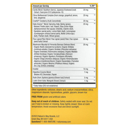 Мультивитамины для женщин 50+, Alive! Women's 50+, Multi-Vitamin, Nature's Way, 60 таблеток