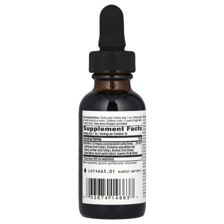 Ехінацея та гідрастис, Echinacea Goldenseal, Nature's Way, 250 мг, 30 мл