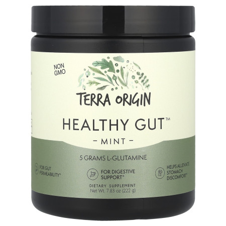 Здоровий кишечник, Healthy Gut, Terra Origin, м'ята, 222 г